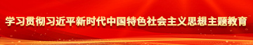 女操逼嫩逼喷水视频学习贯彻习近平新时代中国特色社会主义思想主题教育